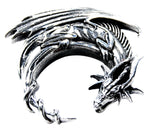 Anhänger 315 Drache - Silber
