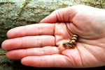 Bartperle Drache 5 mm - Bronze