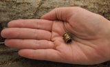 Bartperle Thorshammer 8 mm - Bronze